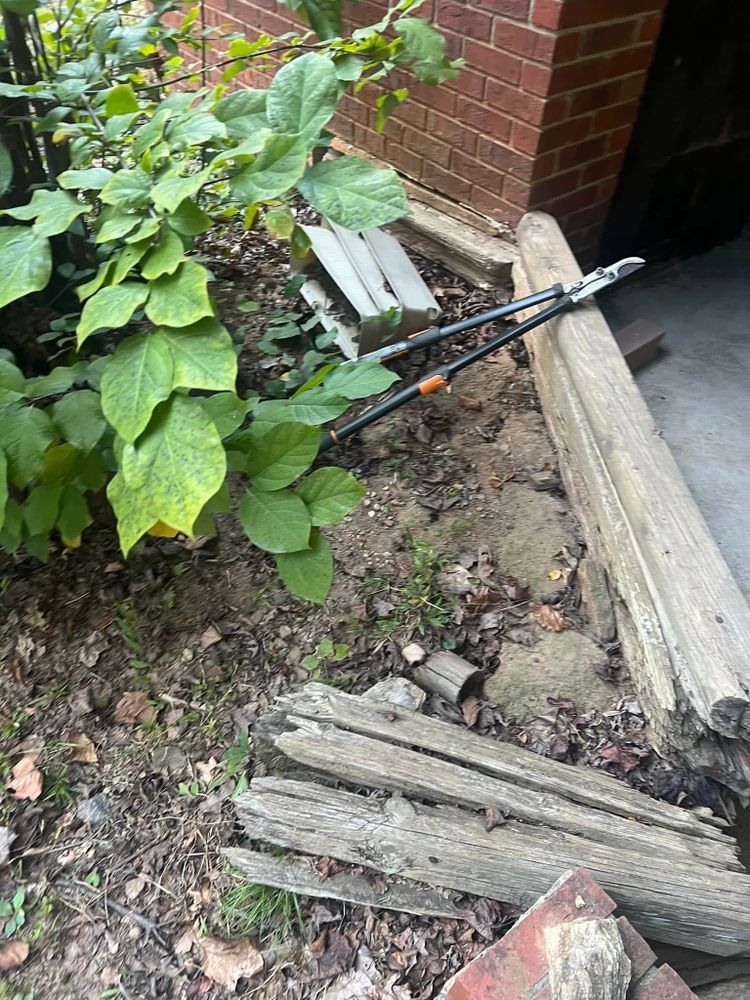 All Photos for Williams Brothers Landscaping & Construction in Atlanta, GA