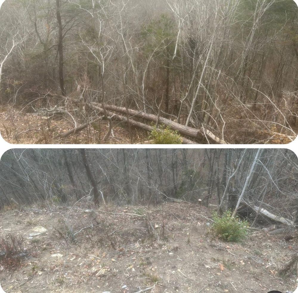 All Photos for McBee’s Tree Service in Sewanee, TN