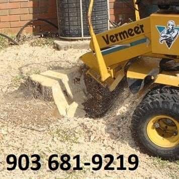 Our professional stump removal service efficiently eliminates unsightly stumps, enhancing your landscape’s beauty and safety. Trust our experts to carefully restore your yard with minimal disruption and complete satisfaction. for Reliable Stump Grinding in Frankston, TX