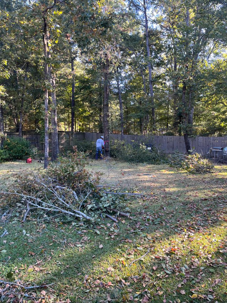 All Photos for JC Land and Tree Service in Kilgore, TX