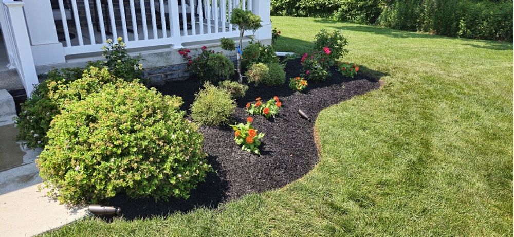 All Photos for Green Lawn Care in Ambler, PA