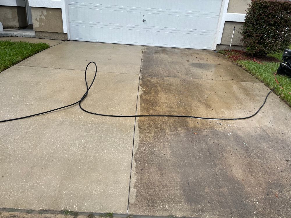 All Photos for Stain X Carpet Cleaning in Jacksonville, FL
