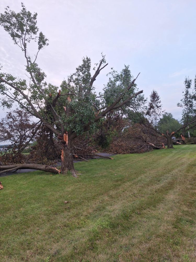 Emergency Storm Work for Highborn Tree Service in Wheatfield, IN