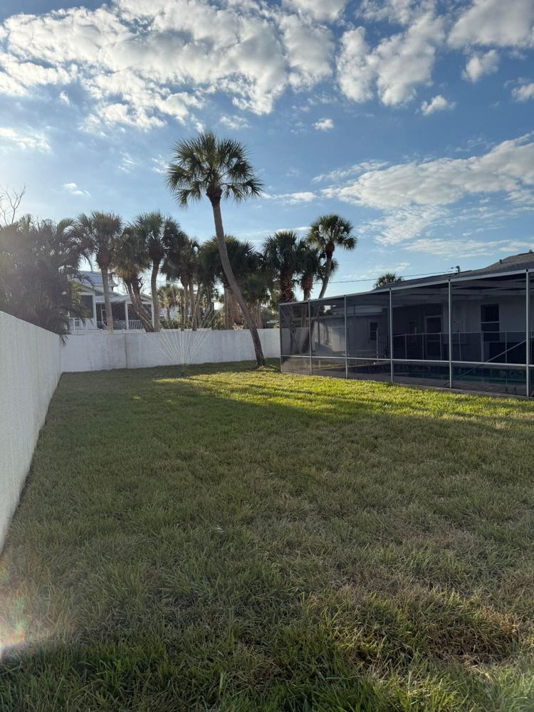 All Photos for Damian’s Tree Care in Sarasota, FL