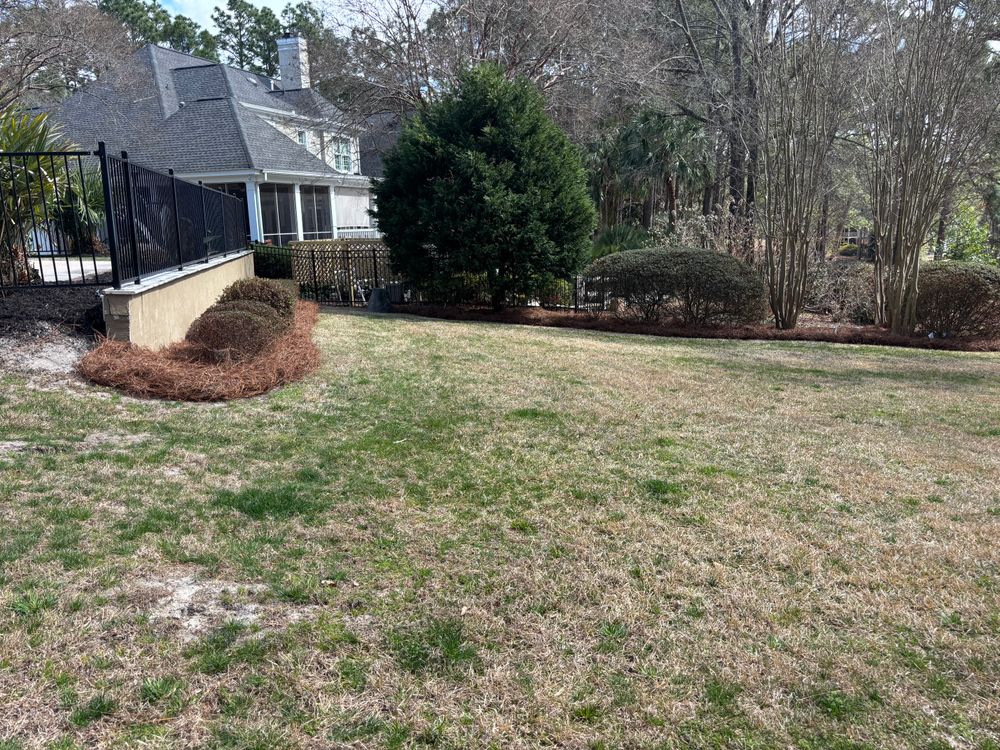 All Photos for Jonathan landscaping in Lexington, South Carolina