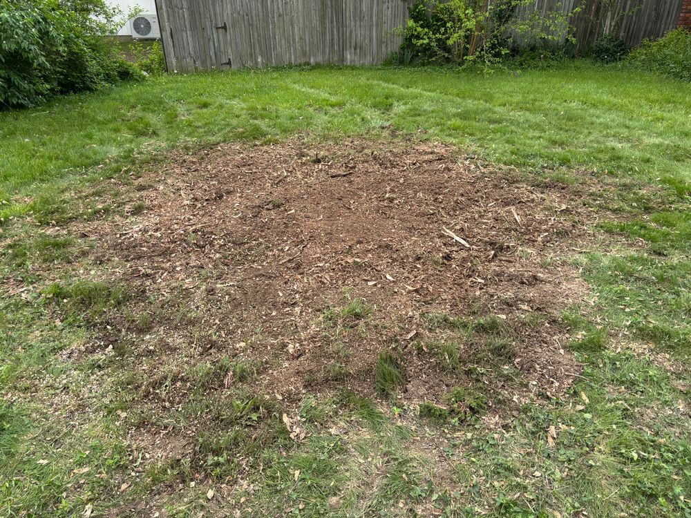 All Photos for Conrad's Stump Removal in Columbus, IN