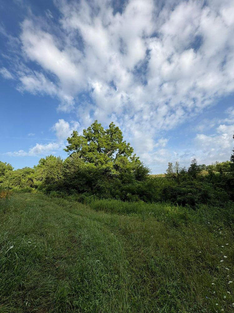 All Photos for Phillips Construction and Excavating in Seymour, TN