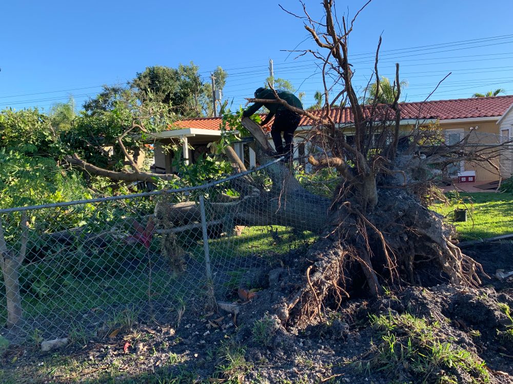 Disaster for Sam's Tree Service in Miami Beach,  FL