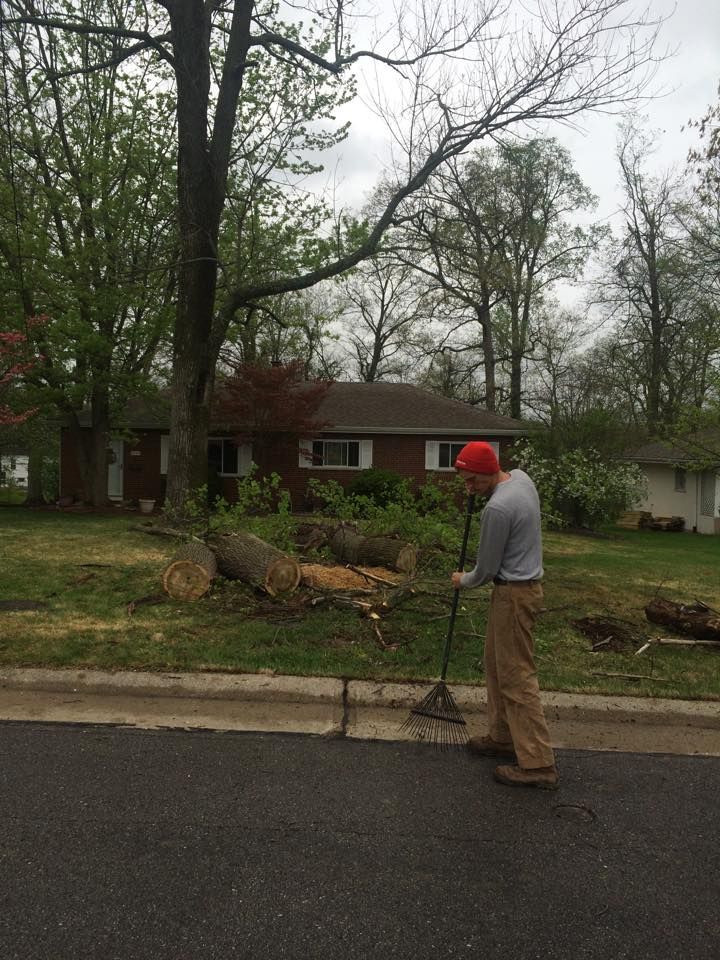 Tree Removal for Precision Tree Service, Inc. in Ryland Heights, KY