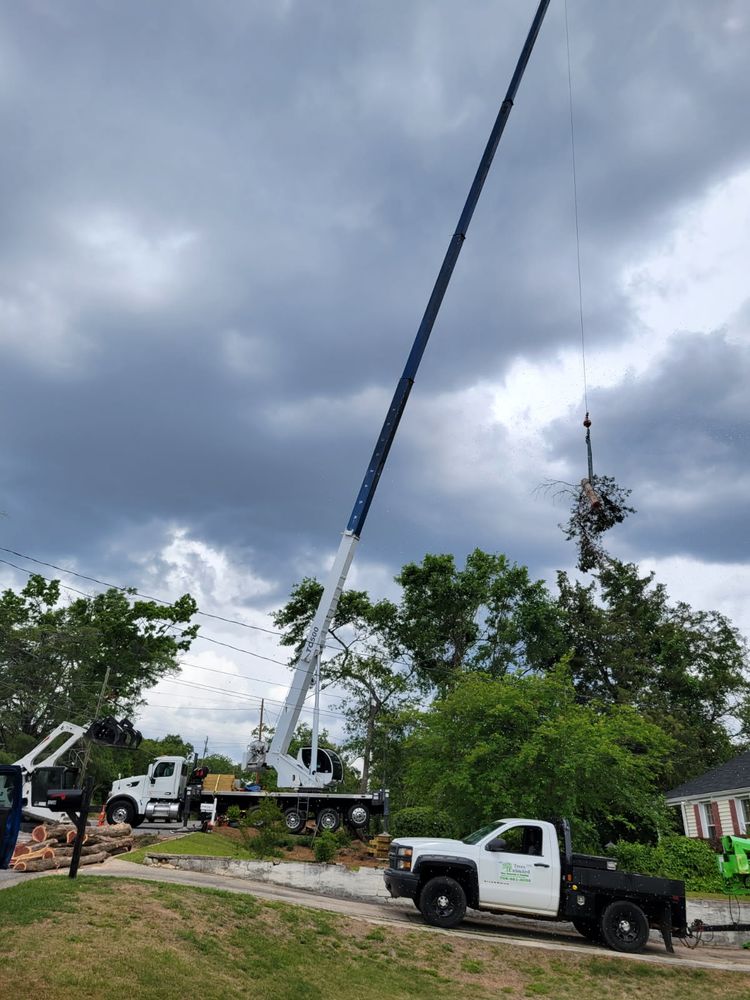 We offer 24/7 Emergency Services - quick assistance for storm-damaged trees, fallen branches, or any urgent tree-related issues—providing peace of mind and safety at any hour for your home. for Trees Unlimited of the CSRA in Augusta, GA