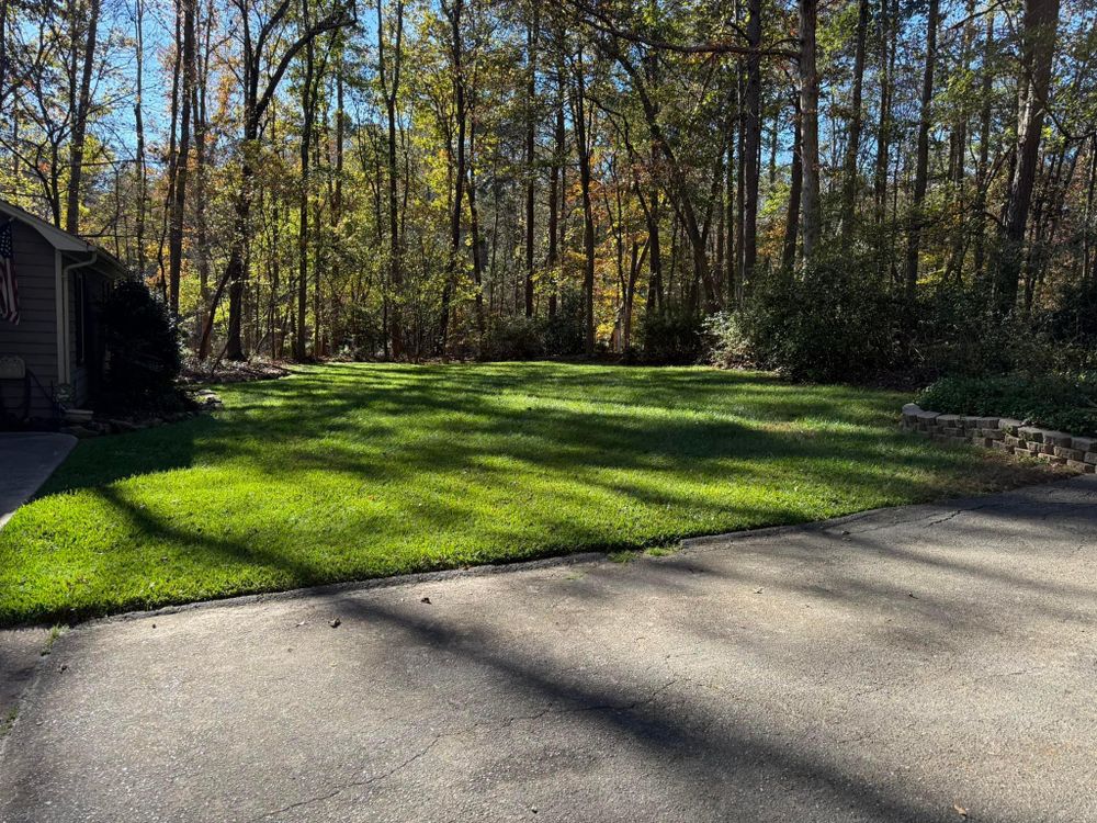 All Photos for America's Top Pick Lawn & Landscaping in Gastonia, NC