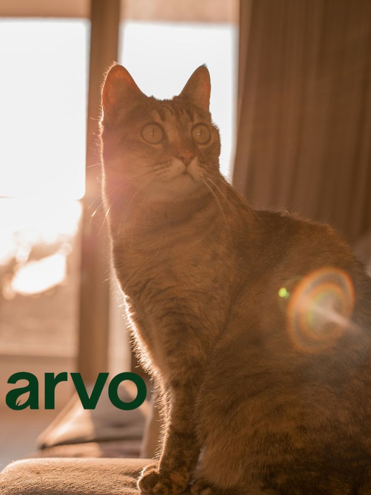 All Photos for Arvo Pest Control in Sandy, UT