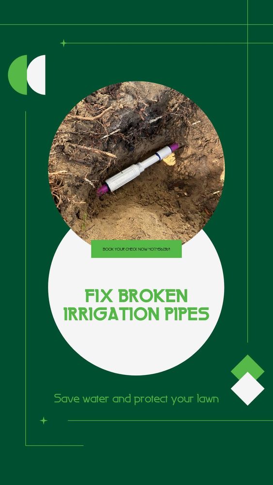 All Photos for Ludlows Services in Clermont, FL