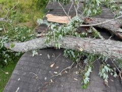 All Photos for Chipper's Tree Service  in Fort Payne, AL