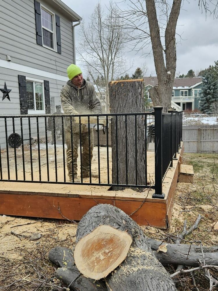 All Photos for Sloan Tree Service in Aurora, CO