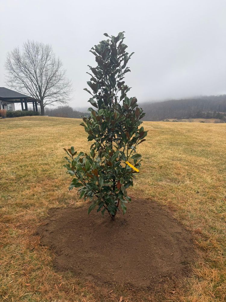 All Photos for Chiles Lawn & Landscaping in Gordonsville, VA