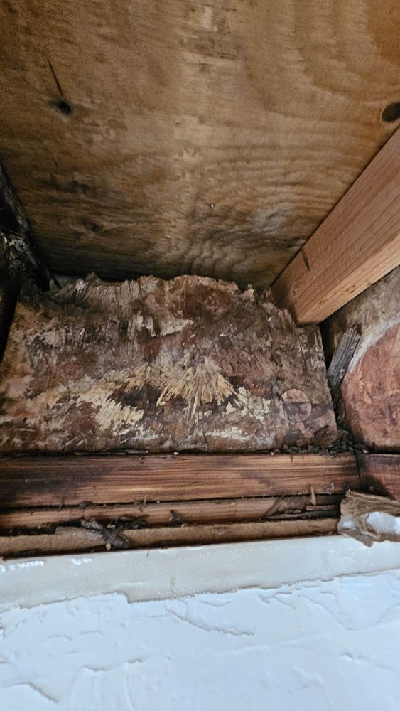 All Photos for Napa Valley Preventative Maintenance in Calistoga, CA