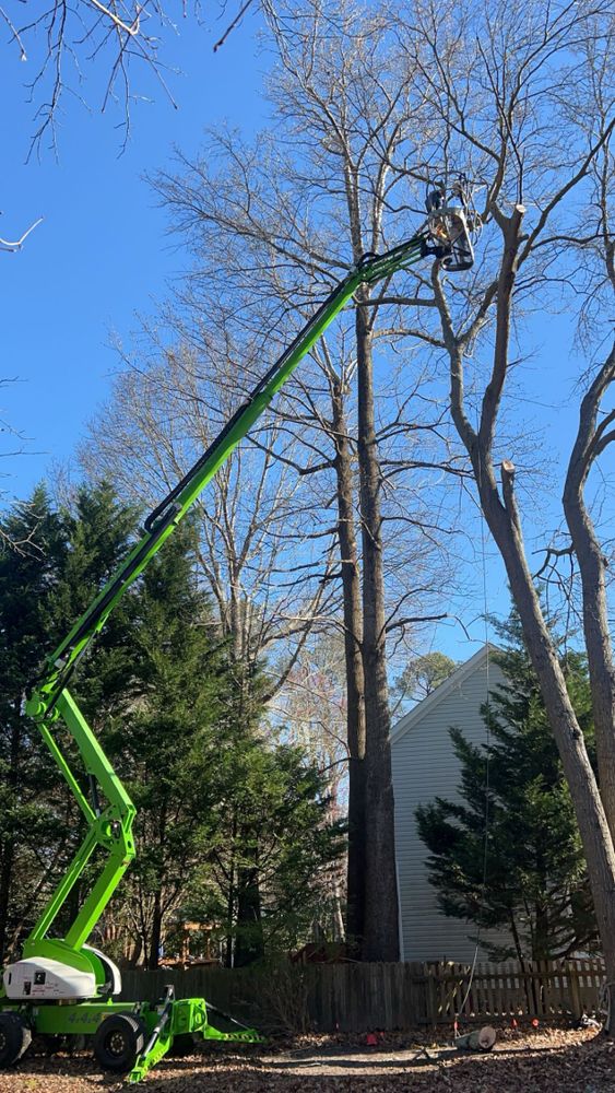 All Photos for James River Tree Service in Suffolk, VA