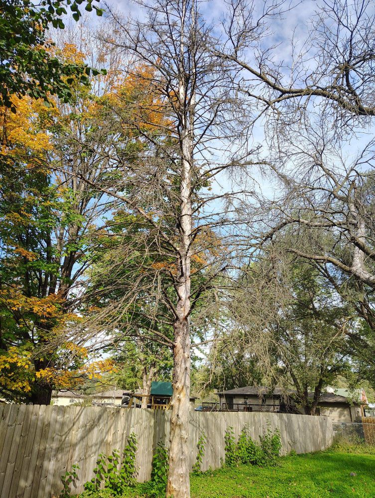 All Photos for Big River lawn Care services and snow LLC in Wausau, WI