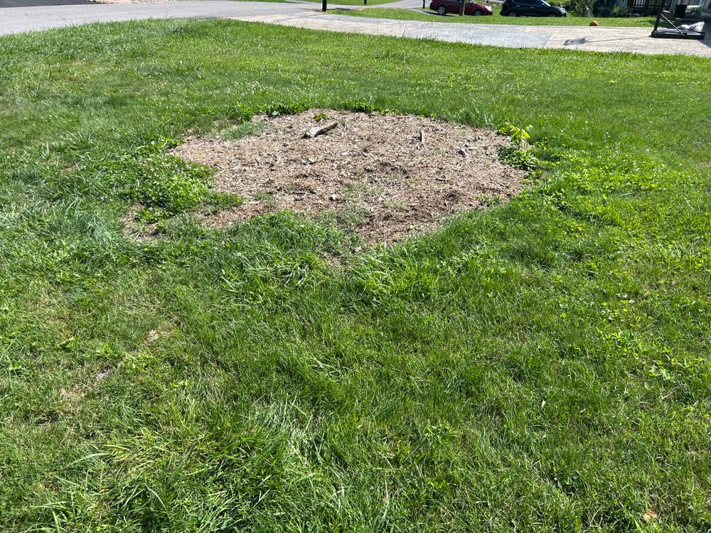 All Photos for Gatrell Landscape & Tree Removal in Bluff City, TN