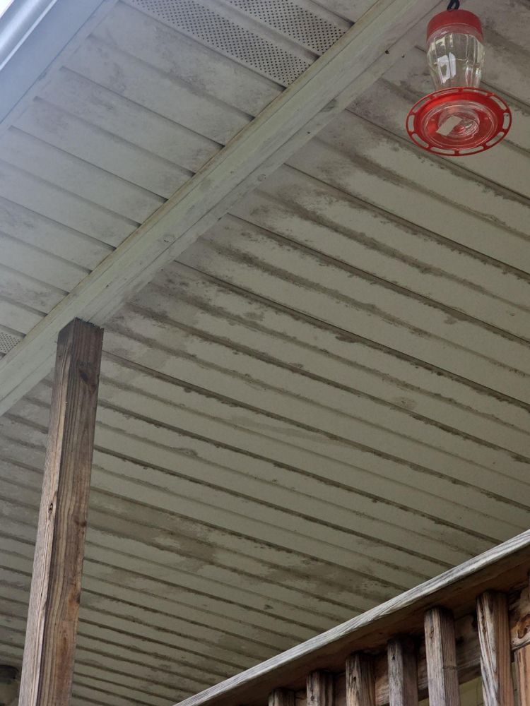 All Photos for Cumberland Gap Pro Wash LLC in Harrogate, Tennessee