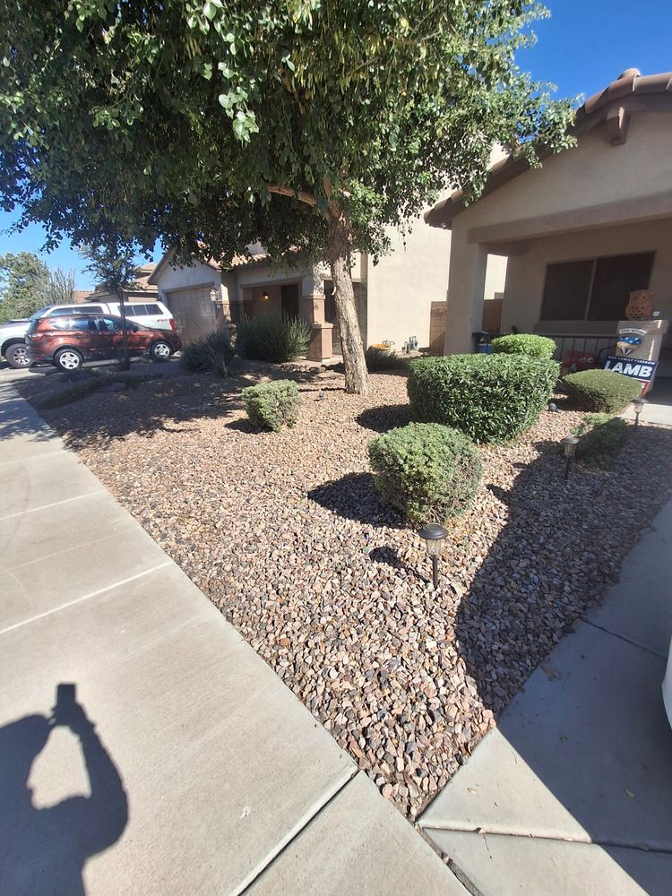 All Photos for Family Landscaping in Phoenix, AZ