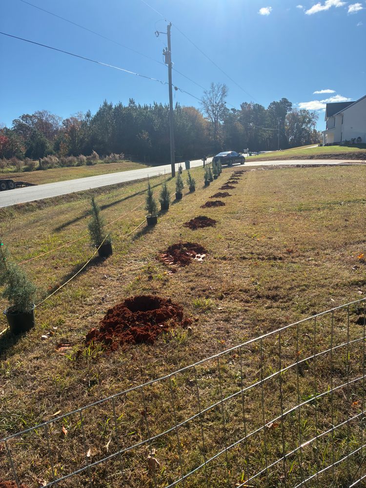 All Photos for Palmetto State Landscaping in Gaffney, SC