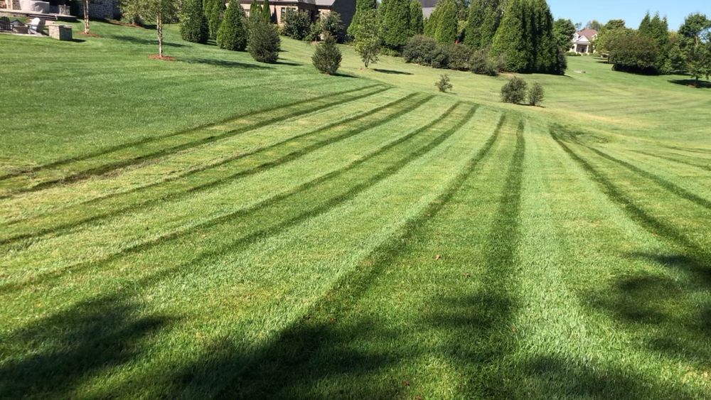 Full Service Lawn Care for Precision Lawn and Outdoor Services in Bowling Green, Kentucky