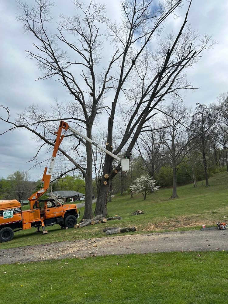 KJ’s Tree Service & More LLC team in Fraziers Bottom, WV - people or person