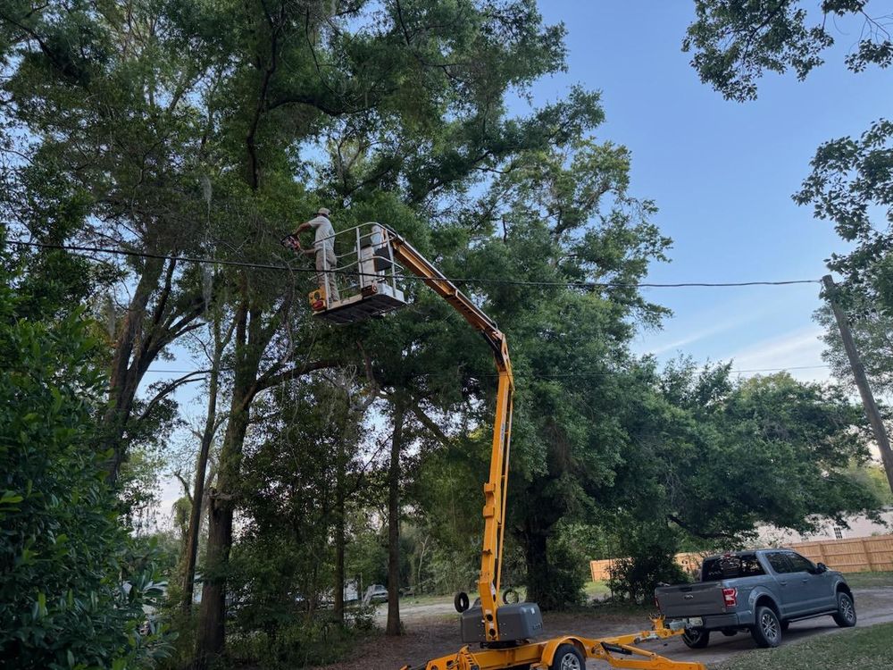 Our Tree Trimming service enhances your landscape's beauty, promotes healthy growth, and ensures safety by professionally removing hazardous branches while maintaining the overall health of your trees. for All Seasons Tree and Land Works in Trenton, FL