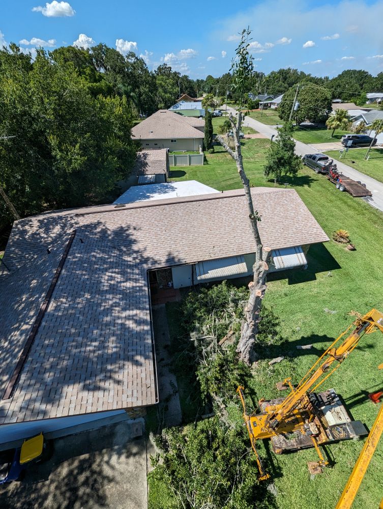 All Photos for Regal Tree Service and Stump Grinding in Wauchula, FL