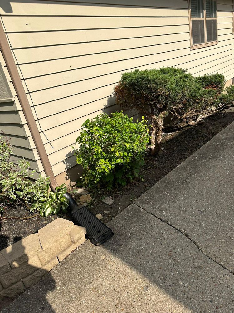 All Photos for Cena Landscaping in Rockford, IL