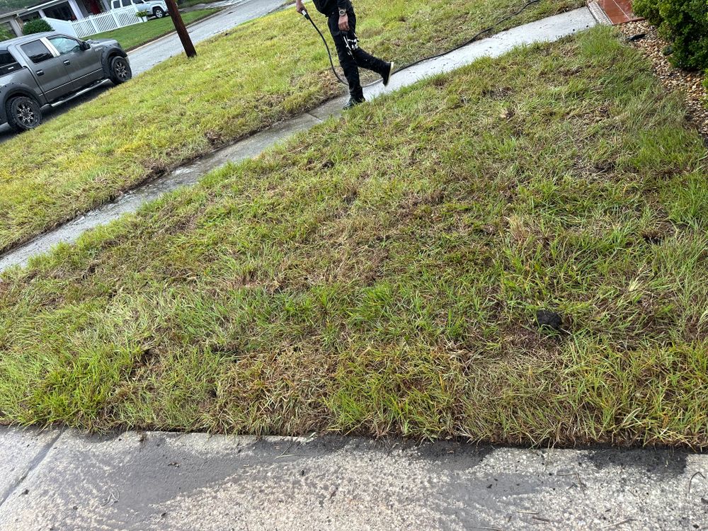 All Photos for Gulf Bay Sod in Clearwater, FL