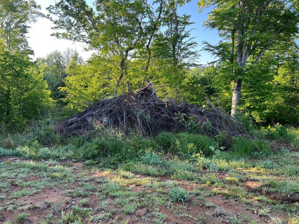 All Photos for Maness Trucking & Excavation in Lexington, TN