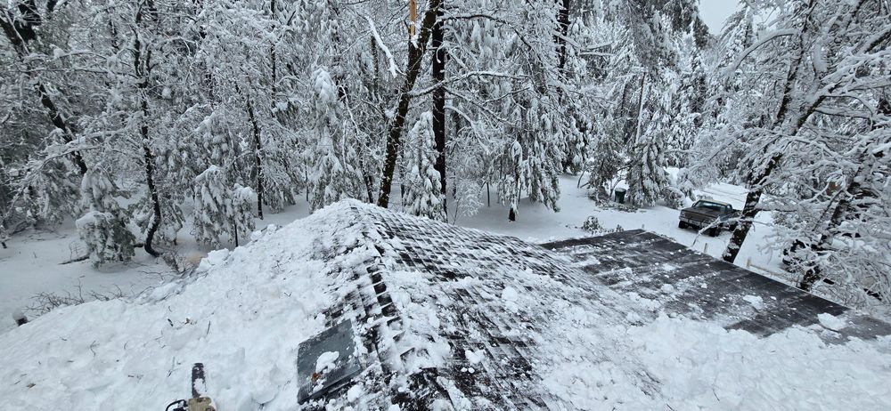 All Photos for George Staddan's Professional Tree Care in Placerville, CA