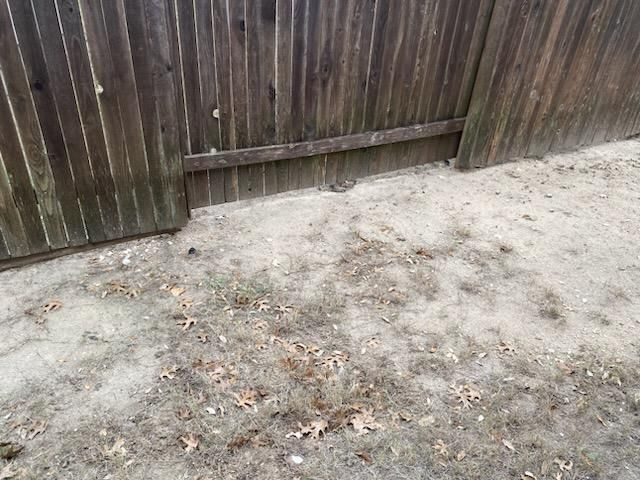 All Photos for Austin's Lawn Enforcement in Austin, TX