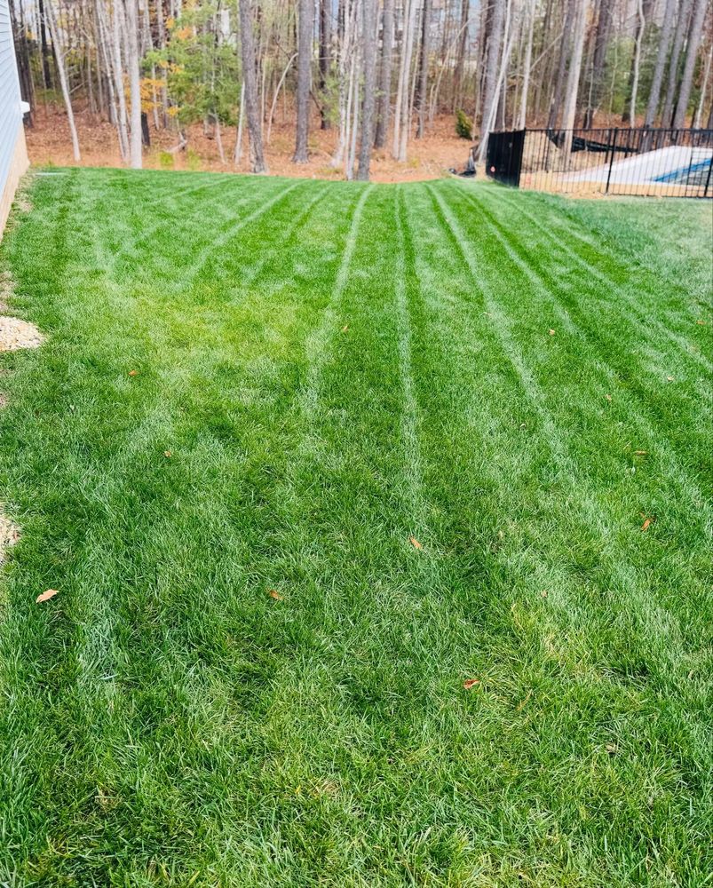 All Photos for Archer's Grounds Maintenance in Chesterfield, VA