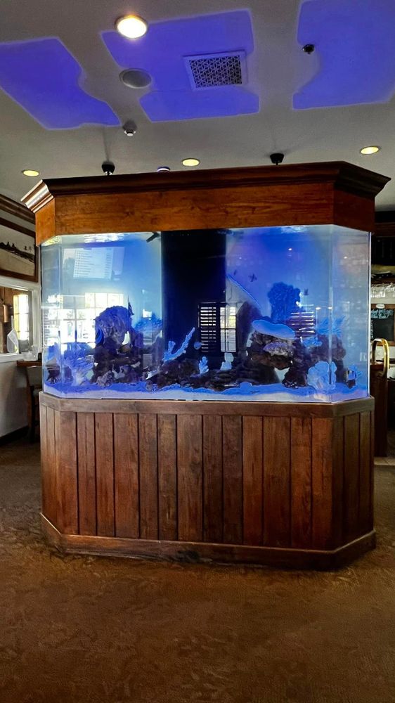 Aquarium Maintenance for Aquariums by Sharyn in The State of Florida, FL