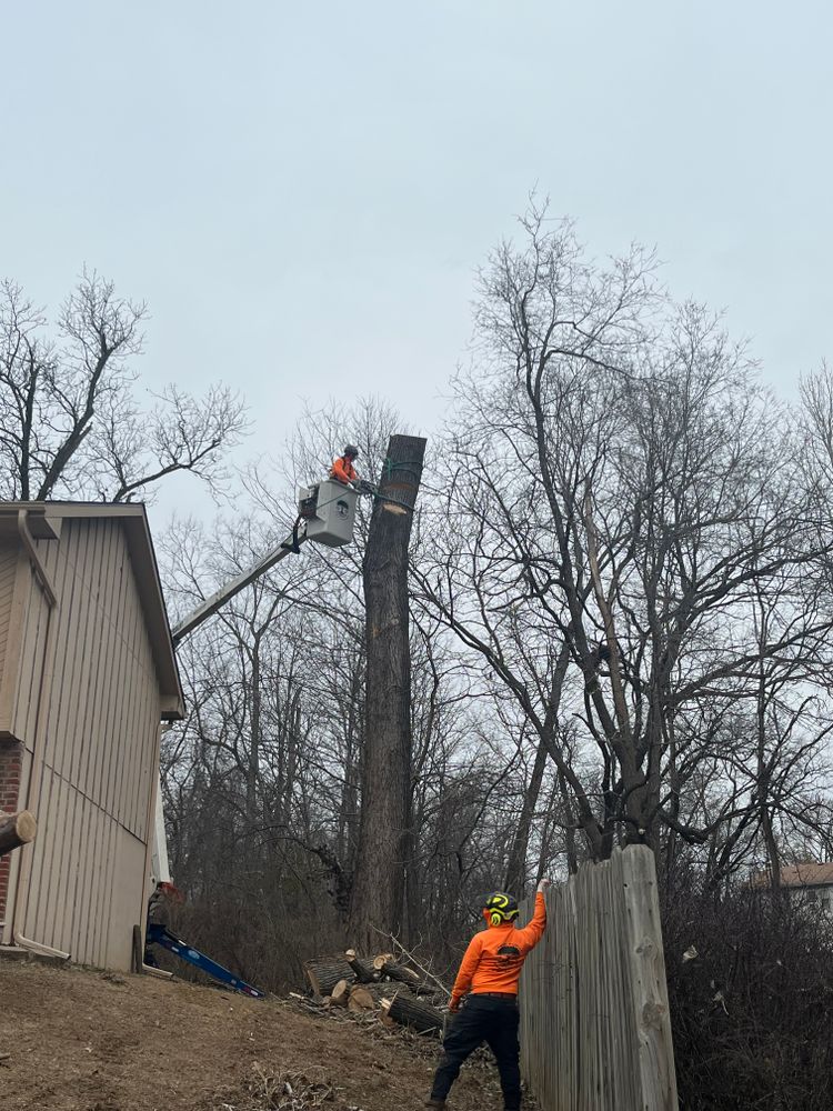 All Photos for Cross Family Tree Service in Kearney, MO