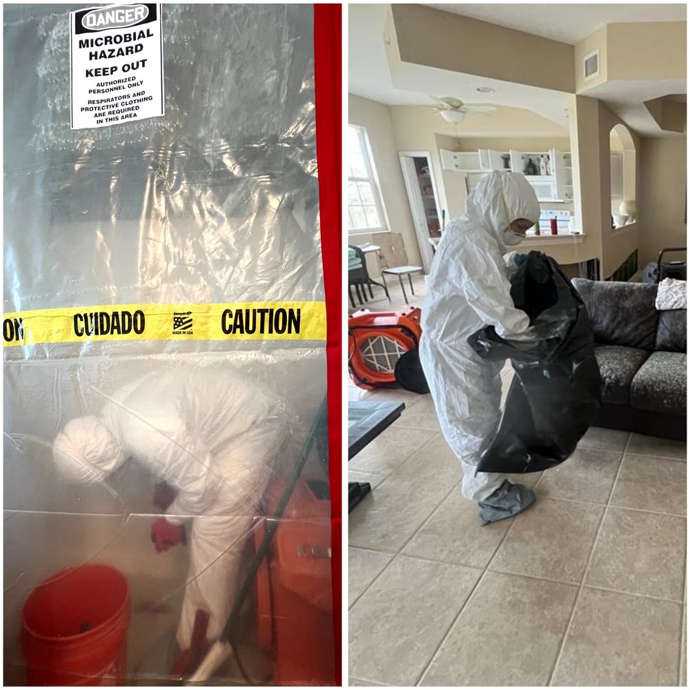 Mold Remediation for N&D Restoration Services When Disaster Attacks, We Come In in Cape Coral,  FL