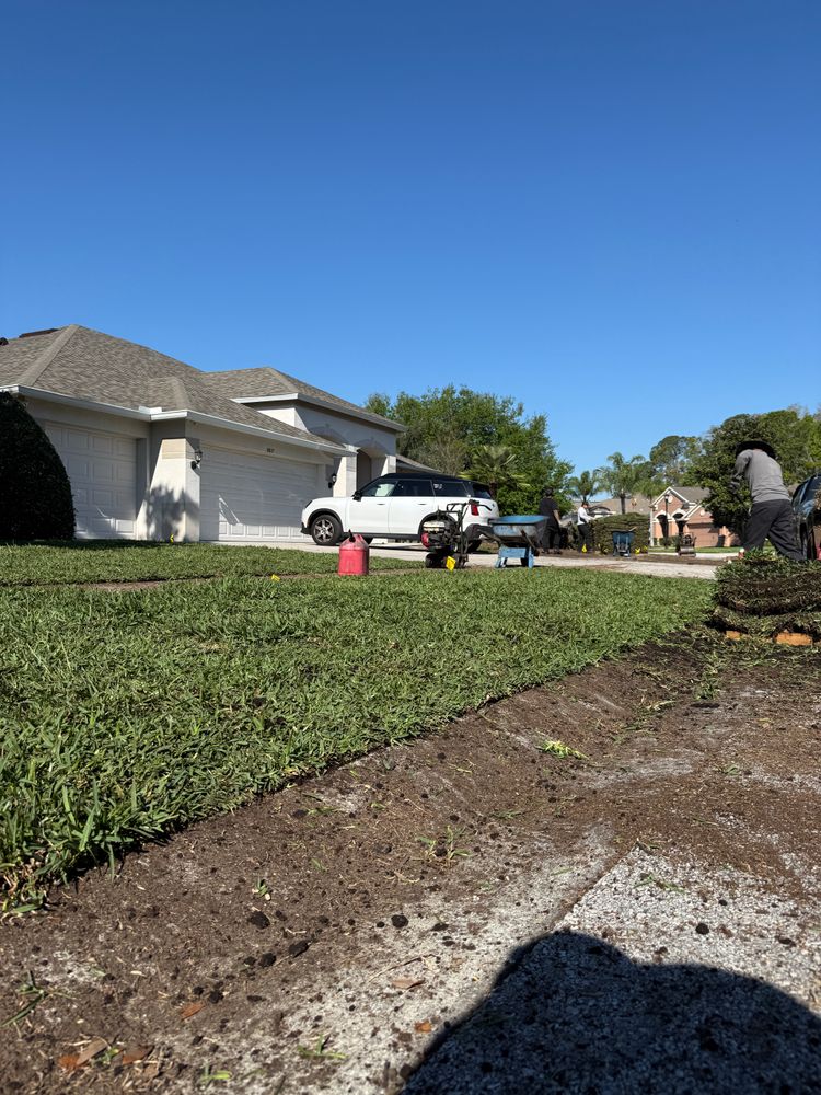 All Photos for Gulf Bay Sod in Clearwater, FL
