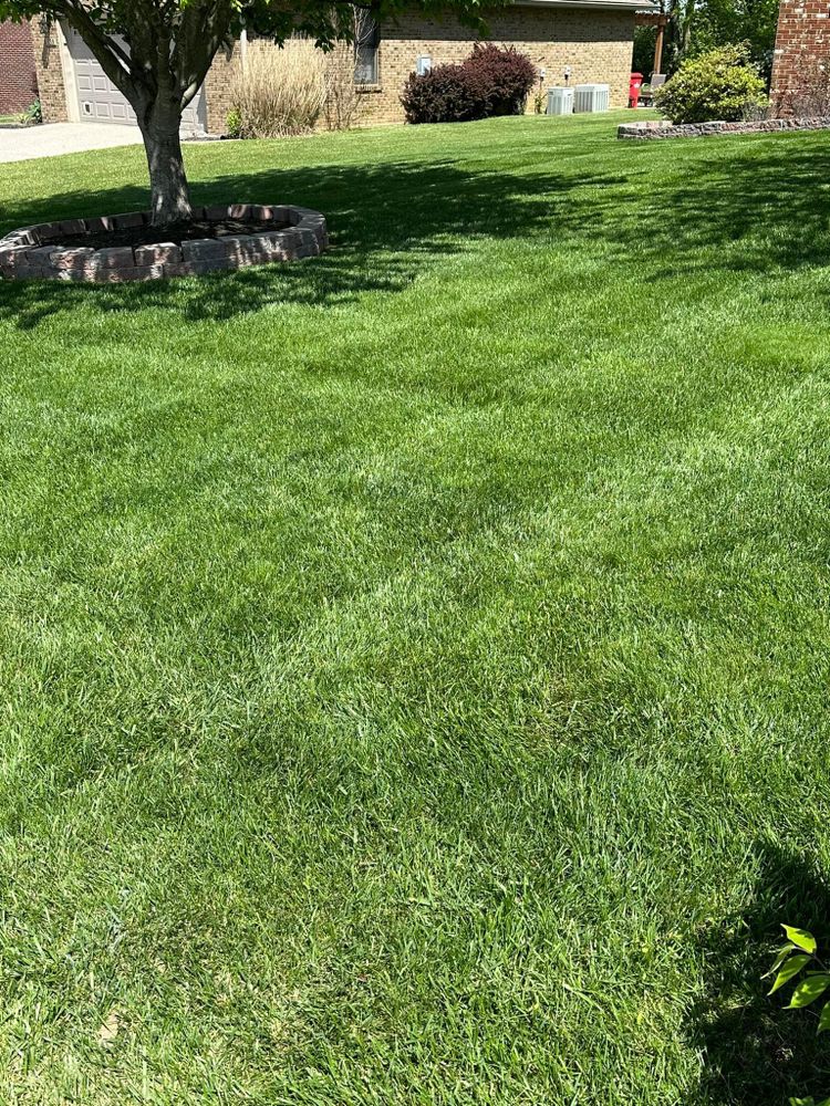 Fall and Spring Clean Up for KK&G Lawncare Services LLC in  Frankfort, KY