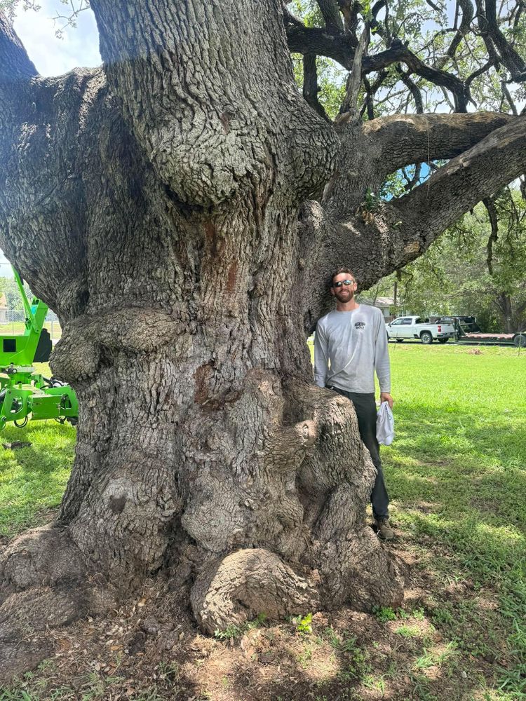 All Photos for Braun Tree Service  in Floresville, Texas