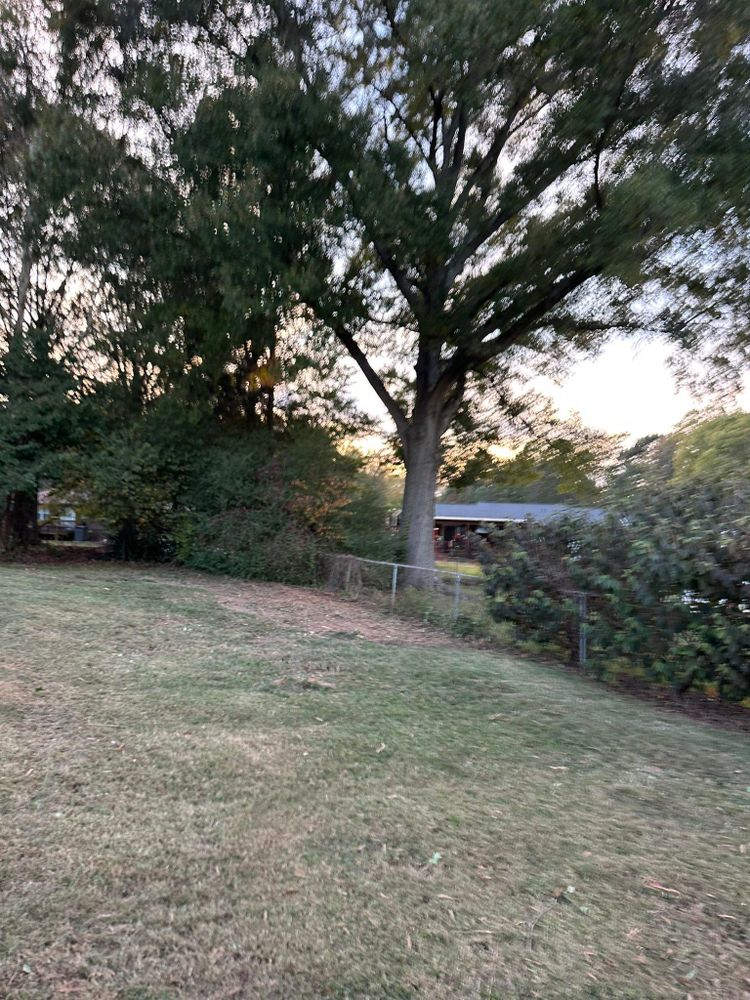 All Photos for Queen’s Landscaping in Kernersville, NC