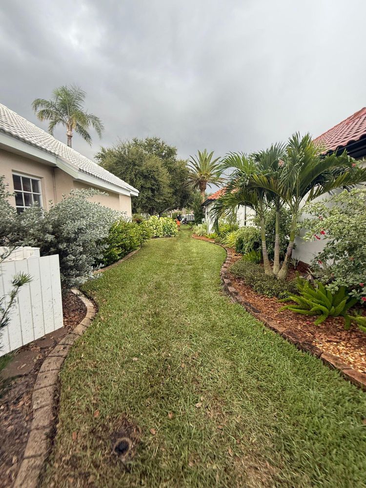 All Photos for MX Trees in Englewood, FL