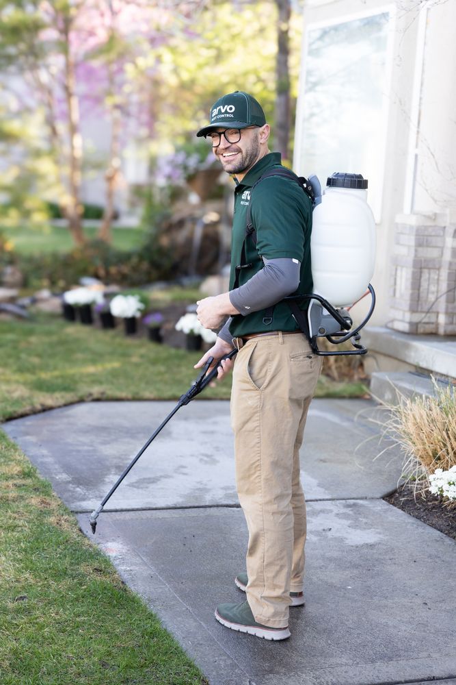 All Photos for Arvo Pest Control in Sandy, UT