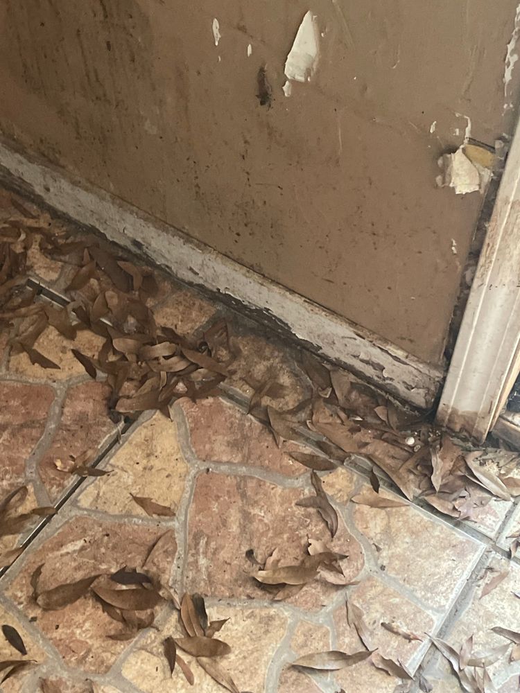 All Photos for 14:FIVE Catastrophe Services in Fairhope, AL