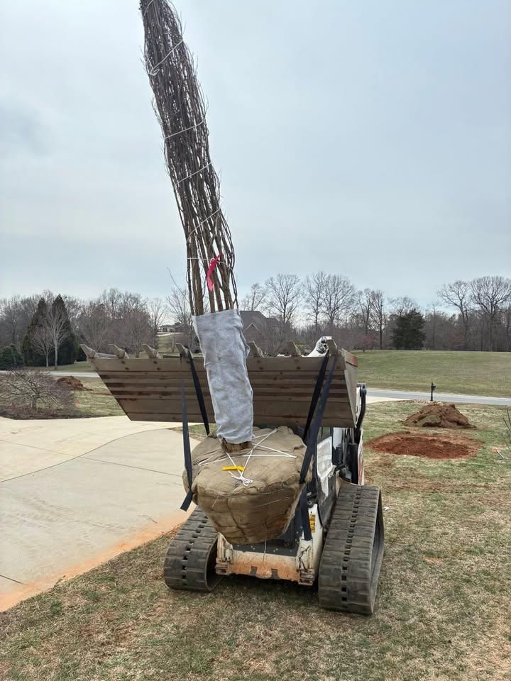 All Photos for Palmetto State Landscaping in Gaffney, SC