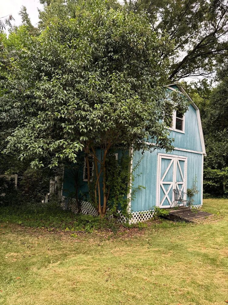 All Photos for Shang's Landscaping Service in Columbia, South Carolina