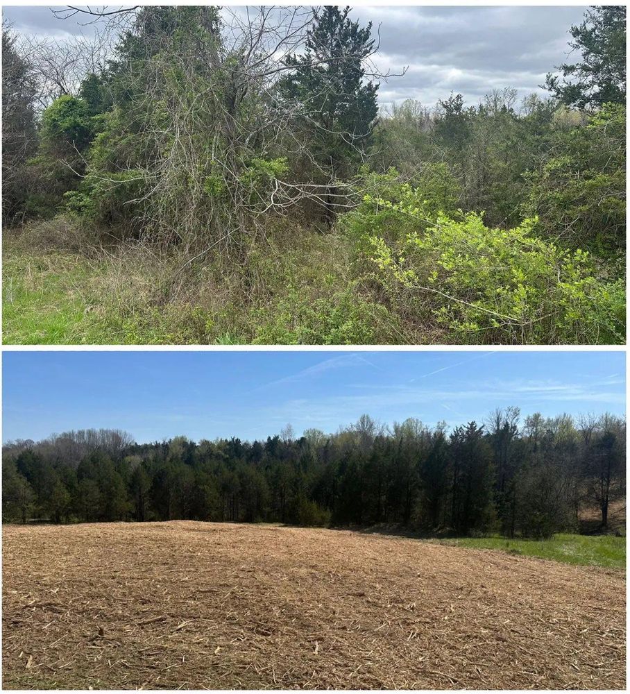 All Photos for Rogers Land Services in Hawkinsville, GA